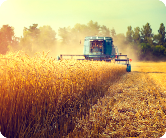 COMBINE HARVESTER Ireland